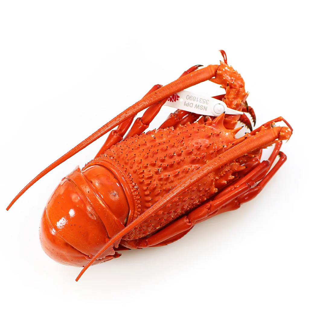 Lobster Preorder | Peter&amp;#39;s Fish Market | Christmas Preorders